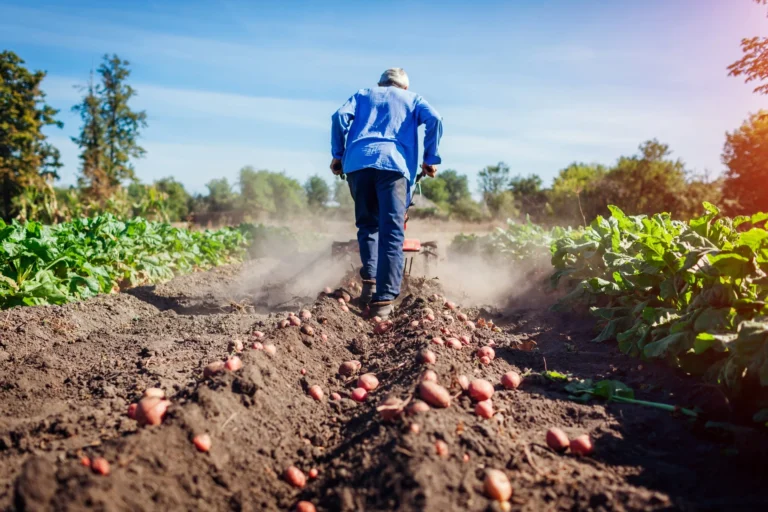Inici - Consultoria Agrària del Berguedà