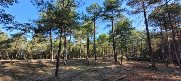Noticias - Consultoria Agrària del Berguedà